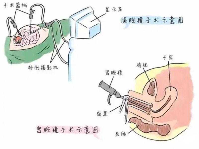 北京嘉佩乐医院官网:引领医疗创新之光
